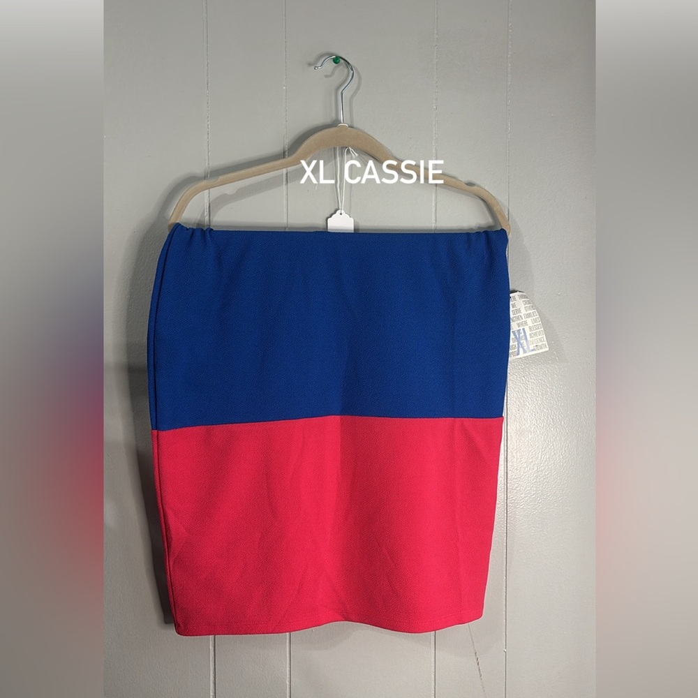 Women's Blue and Red Skirt‎